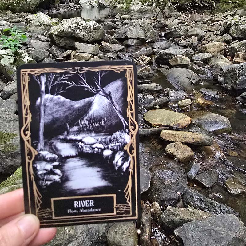 Forest Witch Oracle Deck